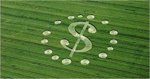 Mennyibe kerül valójában egy vadriasztó?